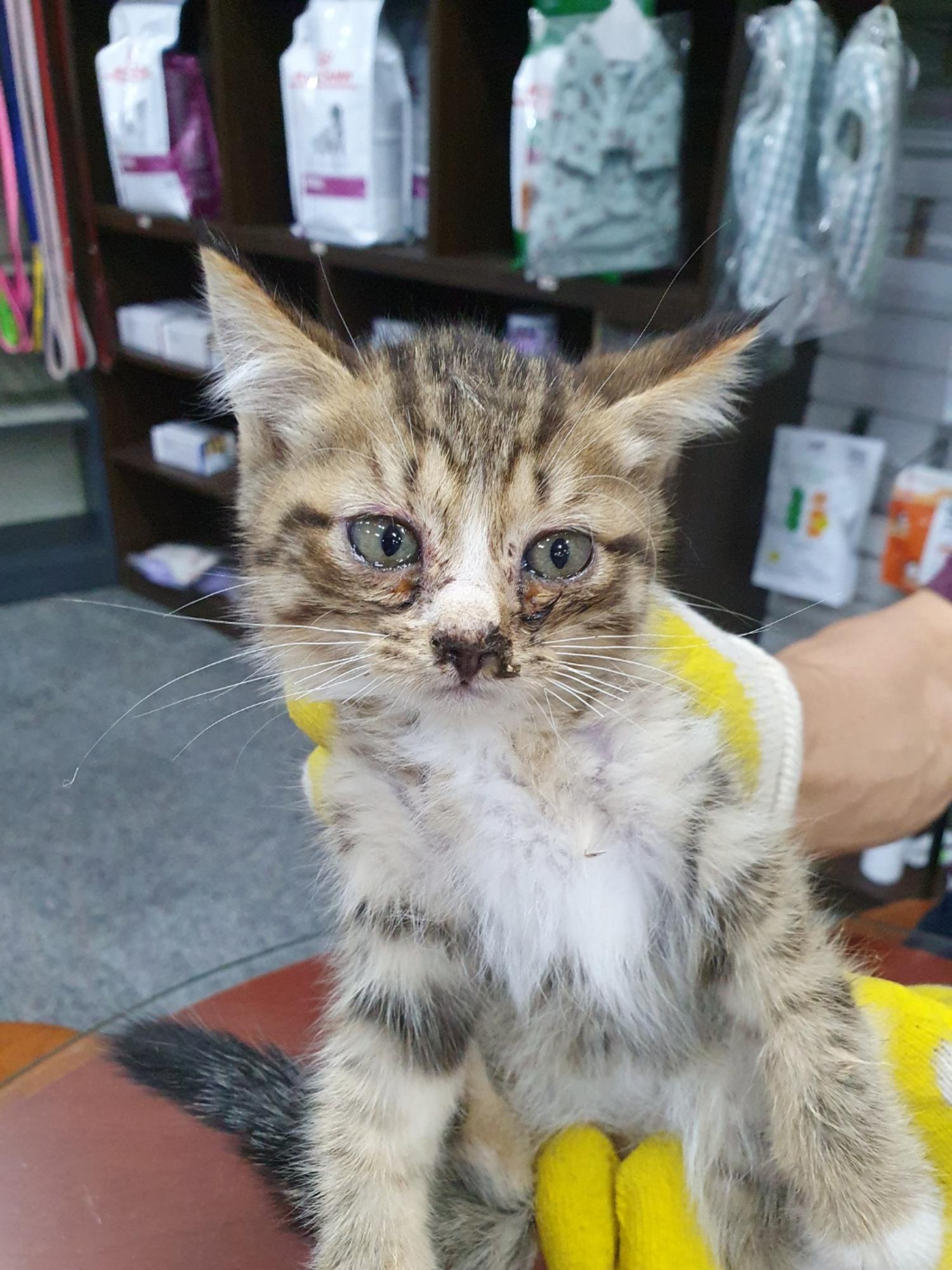 금강동물병원_427346202300813